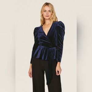 Yumi Kim Kathy Velvet Blue Top Size LARGE